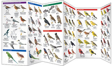 Load image into Gallery viewer, Book A Pocket Naturalist Hawaiʻi Birds-A Folding Pocket Guide to Familiar Species