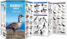 Load image into Gallery viewer, Book A Pocket Naturalist Hawaiʻi Birds-A Folding Pocket Guide to Familiar Species