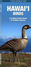 Load image into Gallery viewer, Book A Pocket Naturalist Hawaiʻi Birds-A Folding Pocket Guide to Familiar Species