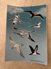 Load image into Gallery viewer, Wandering Finch (WF) Stickers