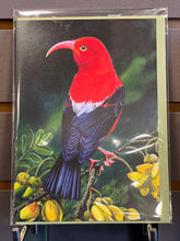Load image into Gallery viewer, Wandering Finch (WF) Blank Cards