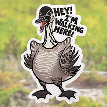 Load image into Gallery viewer, Wandering Finch (WF) Stickers