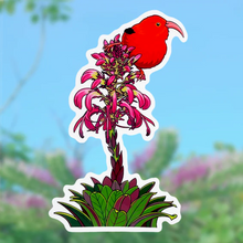 Load image into Gallery viewer, Wandering Finch (WF) Stickers