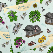 Load image into Gallery viewer, Wandering Finch (WF) Stickers
