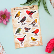 Load image into Gallery viewer, Wandering Finch (WF) Stickers
