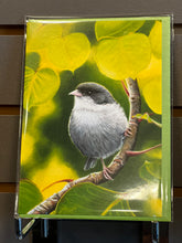 Load image into Gallery viewer, Wandering Finch (WF) Blank Cards
