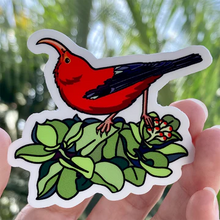 Load image into Gallery viewer, Wandering Finch (WF) Stickers
