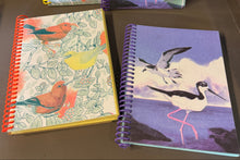 Load image into Gallery viewer, Three notebooks with colorful bird illustrations on a wood surface.

