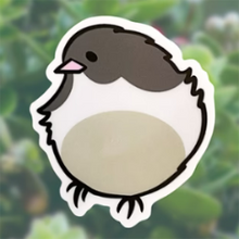 Load image into Gallery viewer, Wandering Finch (WF) Stickers
