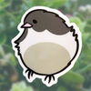 Wandering Finch (WF) Stickers