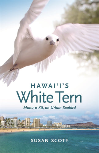 Hawaii's white tern book cover