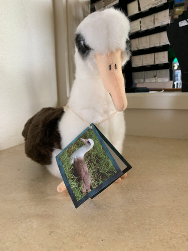 plush albatross
