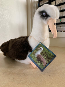plush albatross side view
