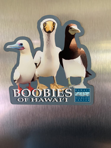 Boobies of Hawaii Magnet
