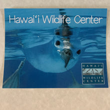 Load image into Gallery viewer, shearwater postcard
