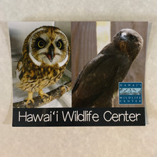 Load image into Gallery viewer, raptors postcard
