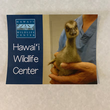 Load image into Gallery viewer, nene chick postcard
