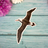 Load image into Gallery viewer, Wandering Finch (WF) Stickers
