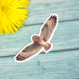 Load image into Gallery viewer, Wandering Finch (WF) Stickers
